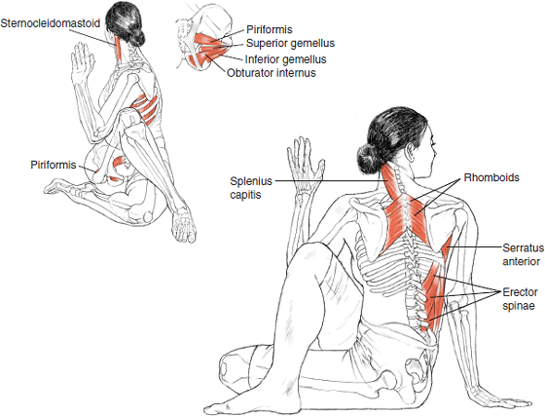 Ardha Matsyendrasana