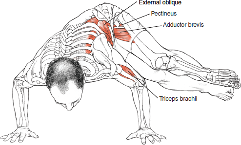 Bakasana Variation
