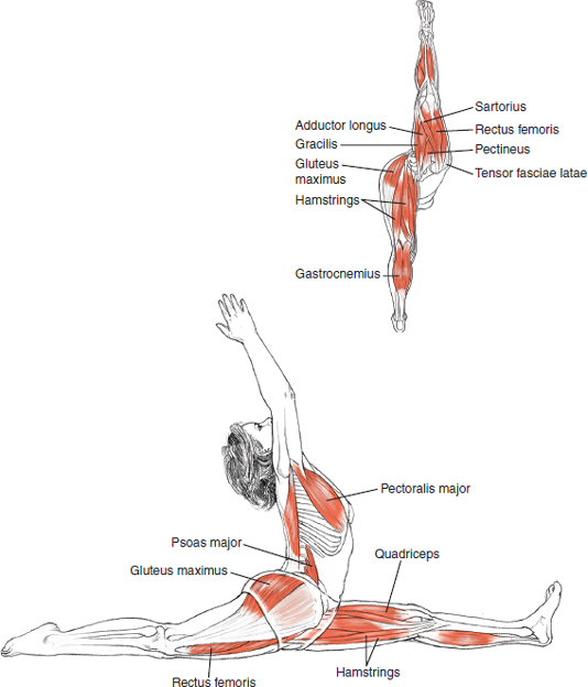 Hanumanasana