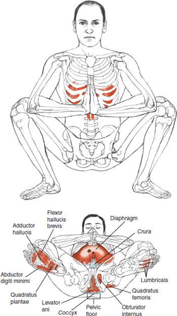 Upavesasana/Malasana