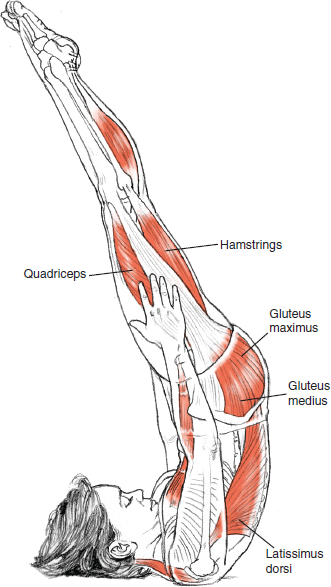 Niralamba Sarvangasana