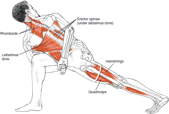 Parivrtta Baddha Parsvakonasana
