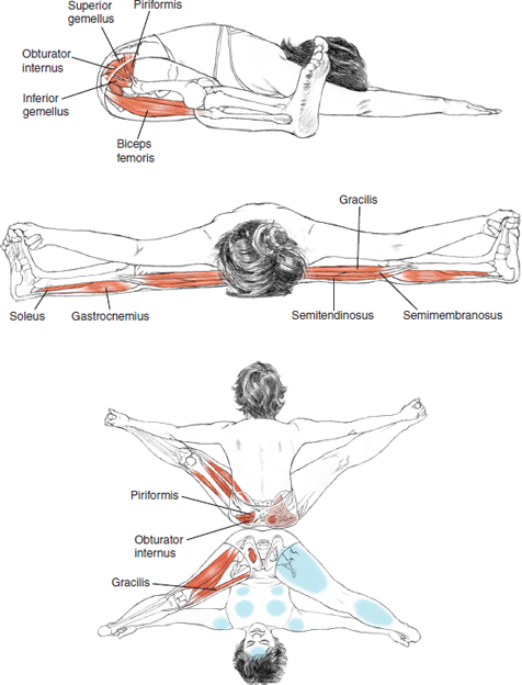 Upavistha Konasana