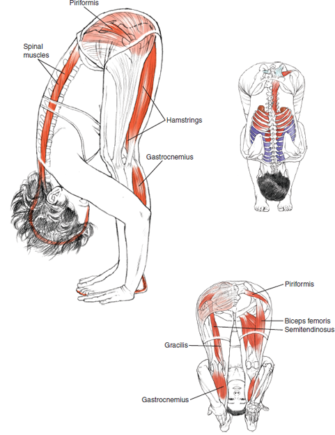 Uttanasana