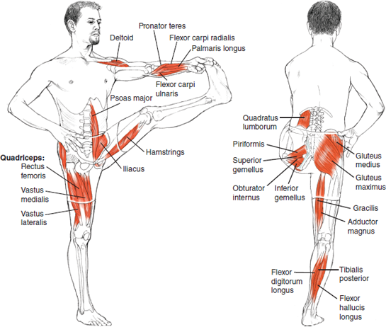 Utthita Hasta Padangusthasana
