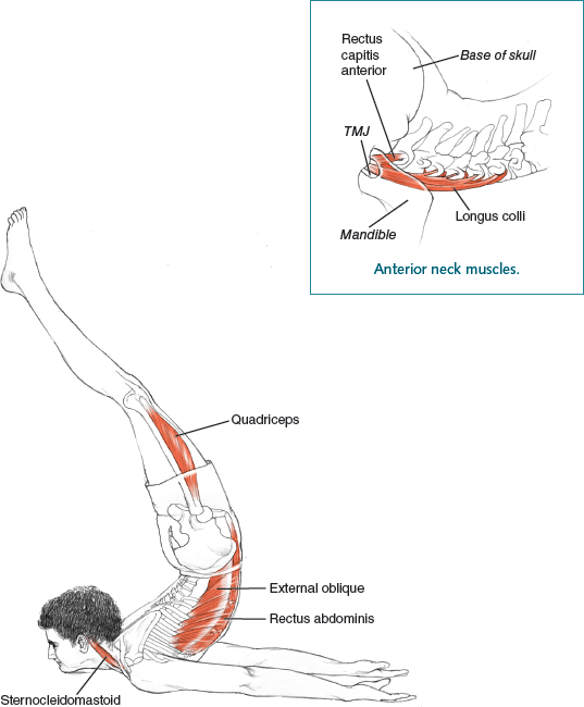 Viparita Shalabhasana